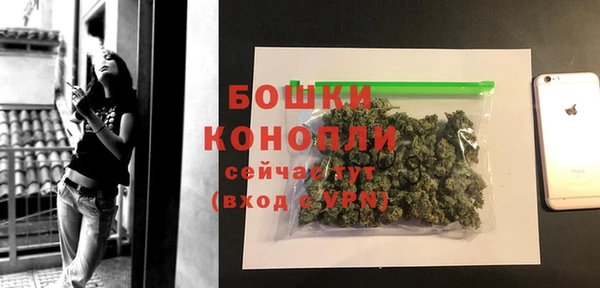 дмт Ладушкин
