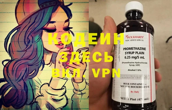 индика Лагань
