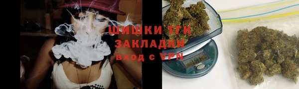 индика Лагань