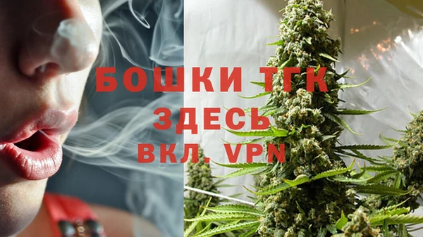 дмт Ладушкин