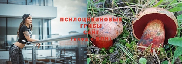 дмт Ладушкин