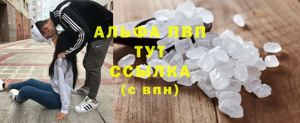 индика Лагань