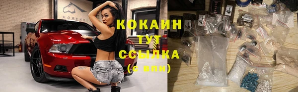 индика Лагань
